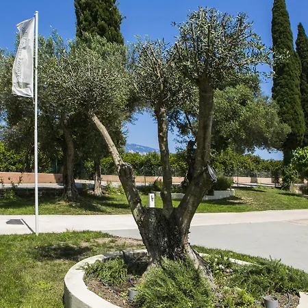 Cypress Garden Hotell 3*