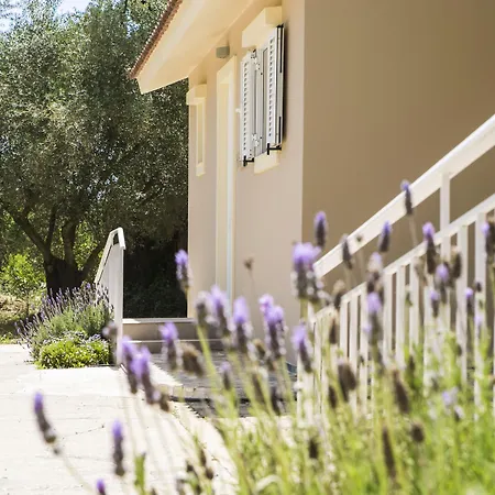 Hotell Cypress Garden Mousata