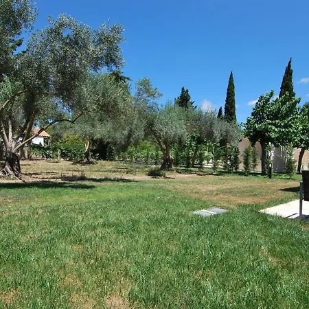 Cypress Garden